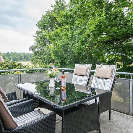 Goldfisch Koralle * Kellenhusen