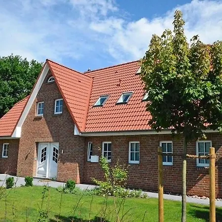 Goldfisch Koralle Kellenhusen